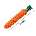 Carrot Rope Dog Chew Toy