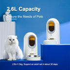 HEYBO Wi-Fi Automatic Cat Feeder