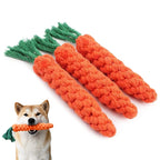 Carrot Rope Dog Chew Toy