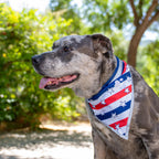 Reflective Pet Bandana 2-Pack, Medium