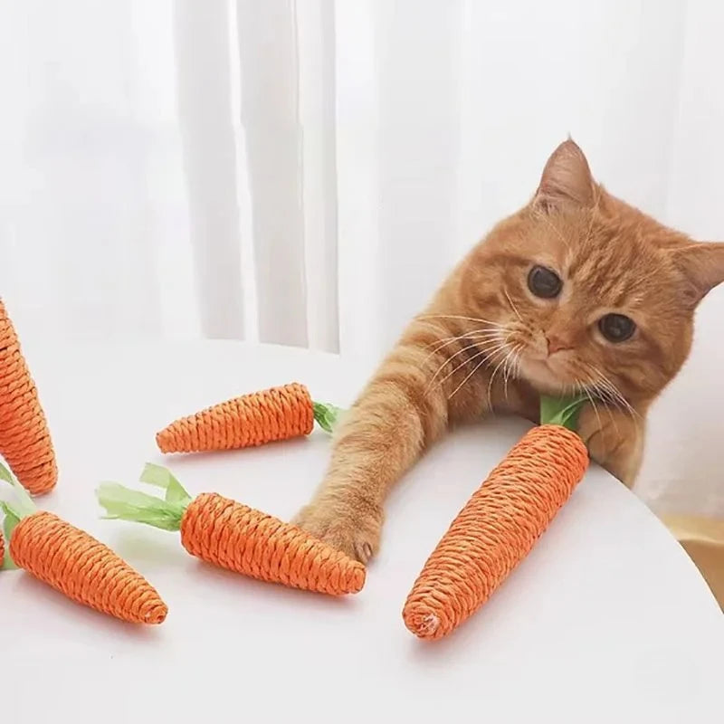 Miroken Catnip Carrot Teething & Scratch Toy