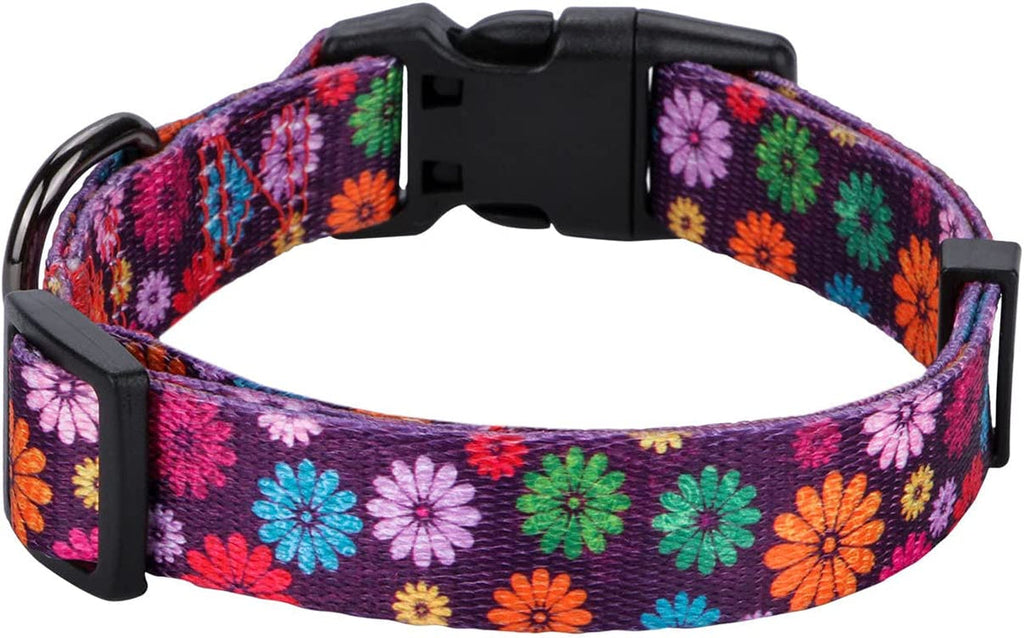 Daisy Floral Dog Collar, Large