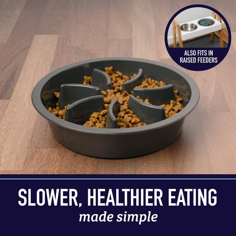 Maze Slow Feeder Dog Bowl, 2 Cup