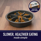 Maze Slow Feeder Dog Bowl, 2 Cup