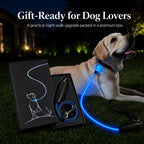 MirokenNightGlow LED Light-Up Dog Leash for Night Walks - USB Rechargeable Safety Leash That Helps Your Dog Stay Visible in the Dark