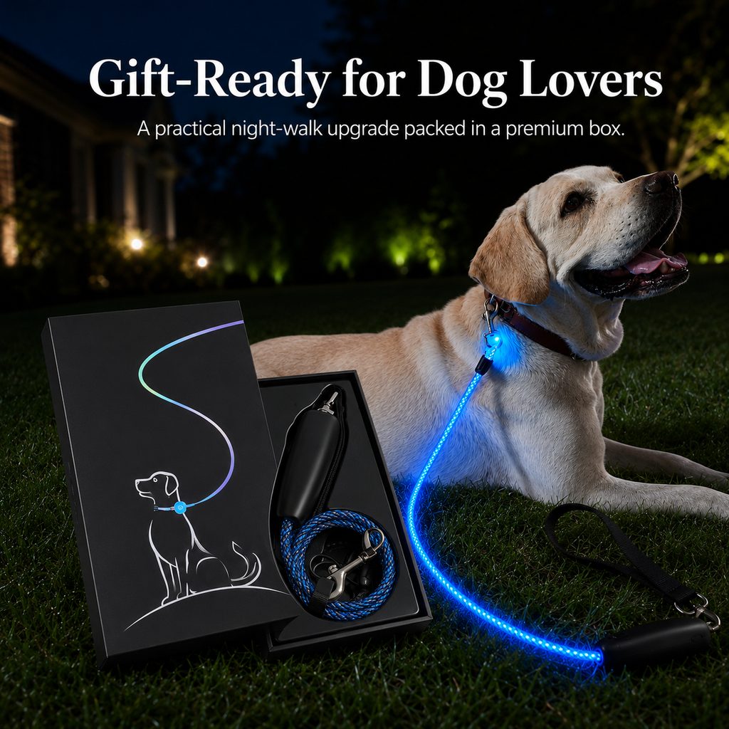 MirokenNightGlow LED Light-Up Dog Leash for Night Walks - USB Rechargeable Safety Leash That Helps Your Dog Stay Visible in the Dark
