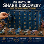 Shark World Advent Calendar 2026 - 24 Shark Species
