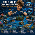 Shark World Advent Calendar 2026 - 24 Shark Species