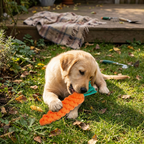 Carrot Rope Dog Chew Toy