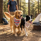 Reflective Pet Bandana 2-Pack, Medium
