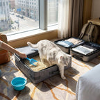 Miroken Portable Travel Cat Litter Box
