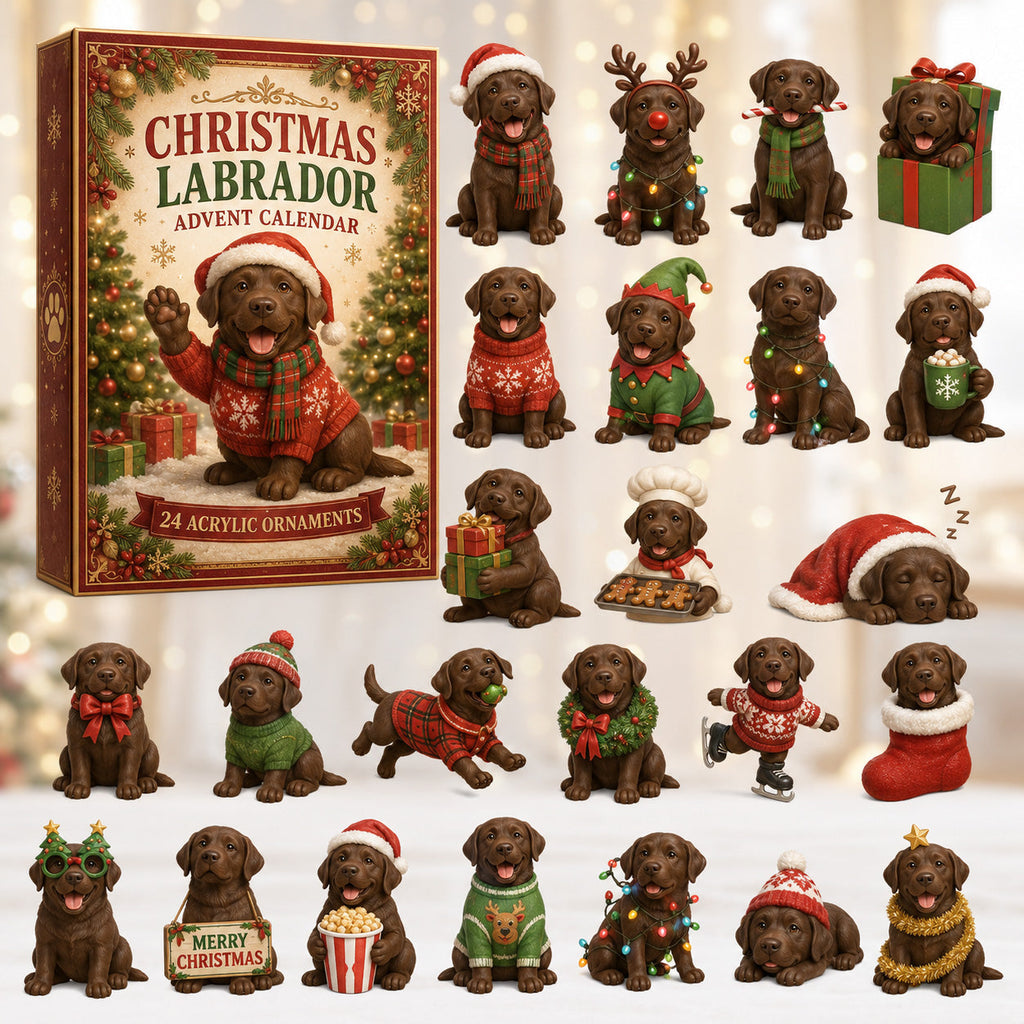 Labrador Advent Calendar 2026 - 24 Acrylic Labrador Hangers