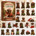 Labrador Advent Calendar 2026 - 24 Acrylic Labrador Hangers