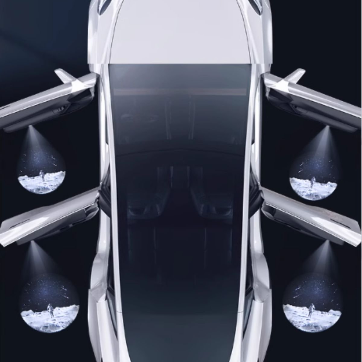 LED Courtesy Door Projector Puddle Lights for Tesla Model 3 / Y