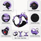 MirokenRechargeable LED Dog Harness for Night Walks - Back-Panel Glow & Reflective Webbing for Better Low-Light Visibility