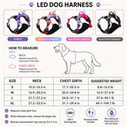 MirokenRechargeable LED Dog Harness for Night Walks - Back-Panel Glow & Reflective Webbing for Better Low-Light Visibility