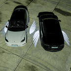 Angel Wings Rearview Mirror Welcome Light for Model 3 Highland & Model Y Juniper | Miroken