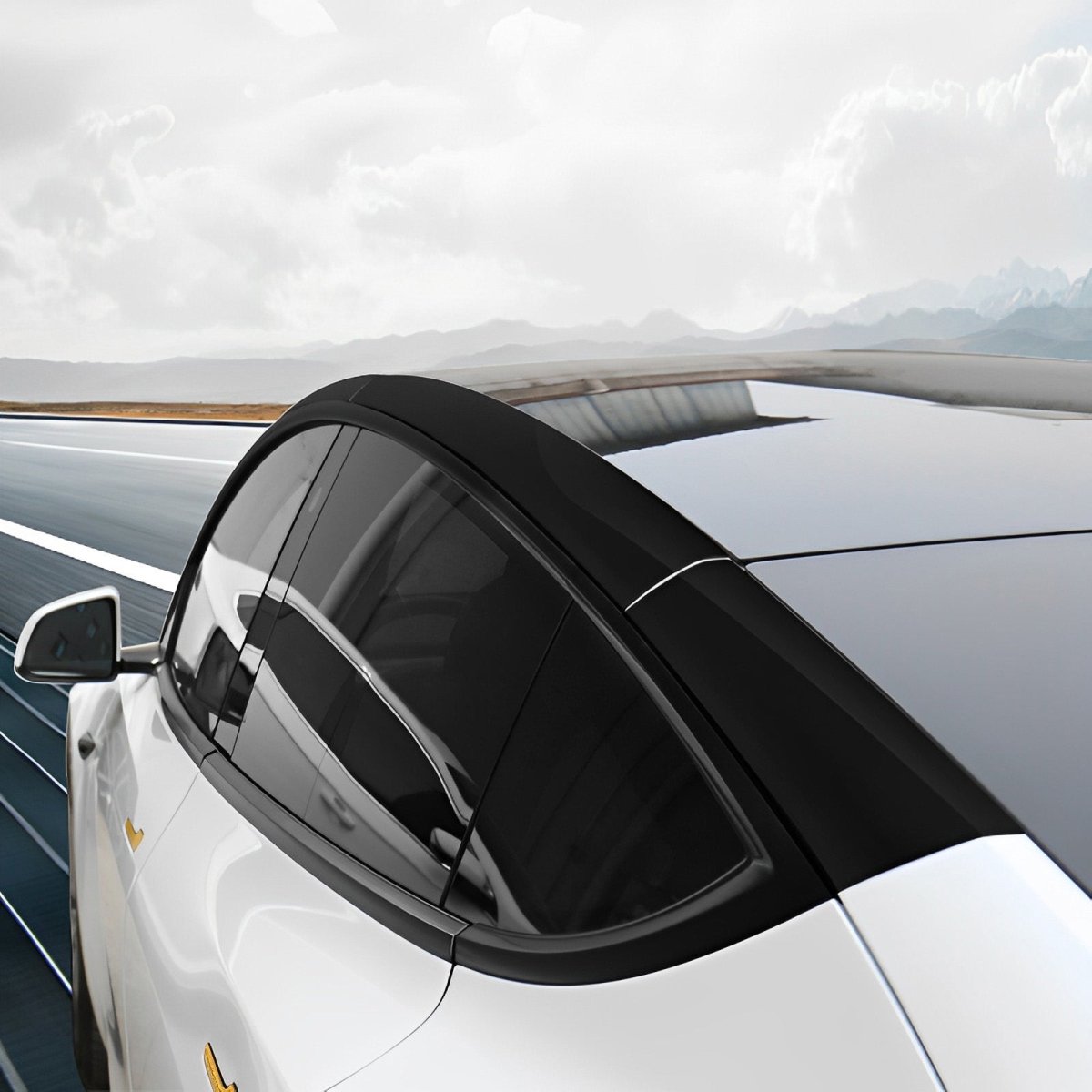 Pillar Delete for Tesla Model 3/Y- Glossy Black