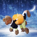 Dog Pumpkin Costume