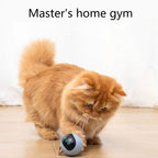 Self Rotating Cat Toy