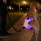 MirokenRechargeable LED Dog Harness for Night Walks - Back-Panel Glow & Reflective Webbing for Better Low-Light Visibility