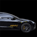 Reflective Robotaxi Decal | Tesla Body & Window Waterproof PVC Sticker
