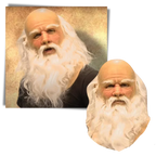Cosplay Santa Mask