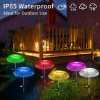 SolarJelly Enchanting Outdoor Ambience