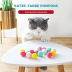 Interactive toy for cats (30 pieces)