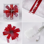Bright gift boxes in a set of 3 – Transparent Christmas decoration with red ribbons | For indoors & outdoors
