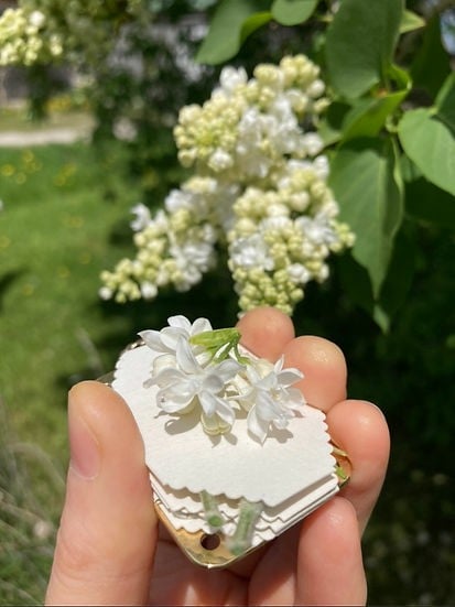 Mini Flower Press | Compact Botanical Keepsake Maker | Portable Craft Tool