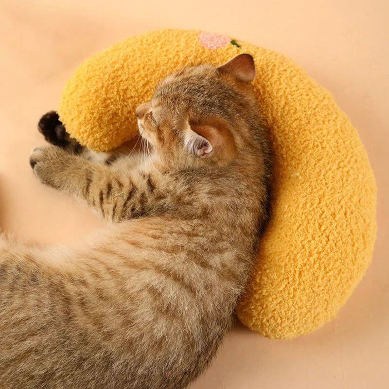 Cat Beautiful cozy pillow