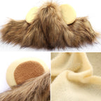 Pet Simulation Lion Mane