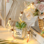 Christmas LED Wishing Bottle Tree Snow Battery Box Decorative String Light