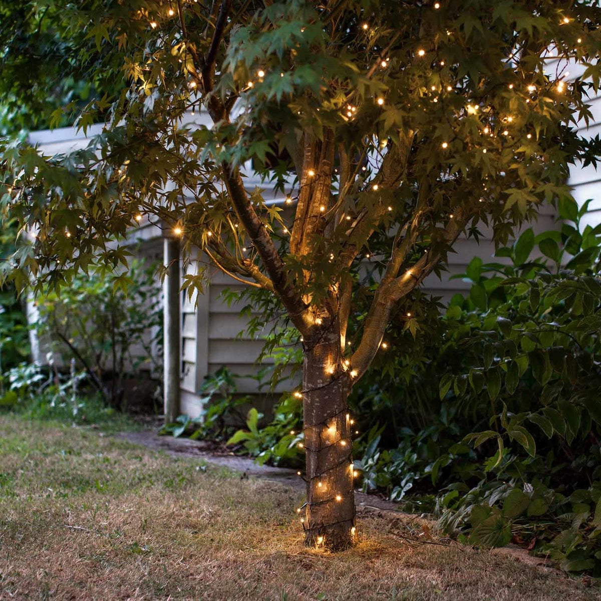 Christmas Decorations Outdoor Fairy Lights