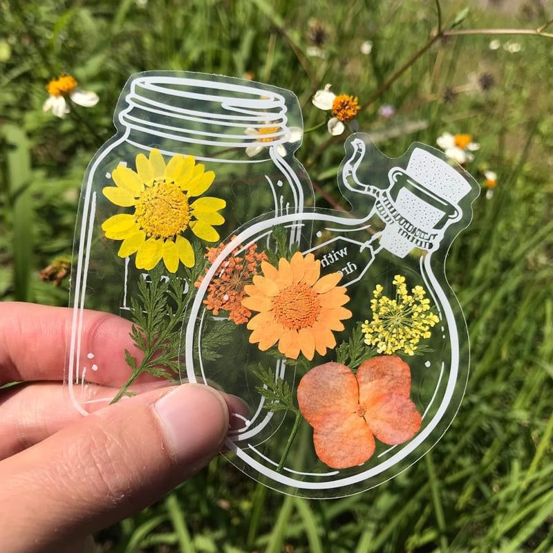 Dried Flower Bookmarks Set