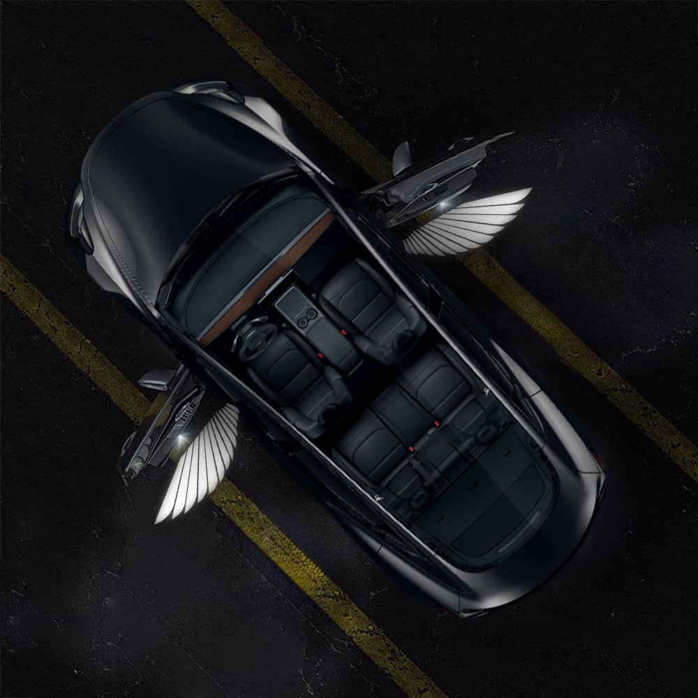 Miroken Angel Wings Door Welcome Lights for Model 3/Y/S/X