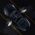 Miroken Angel Wings Door Welcome Lights for Model 3/Y/S/X