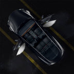 Miroken Angel Wings Door Welcome Lights for Model 3/Y/S/X