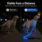 MirokenNightGlow LED Light-Up Dog Leash for Night Walks - USB Rechargeable Safety Leash That Helps Your Dog Stay Visible in the Dark